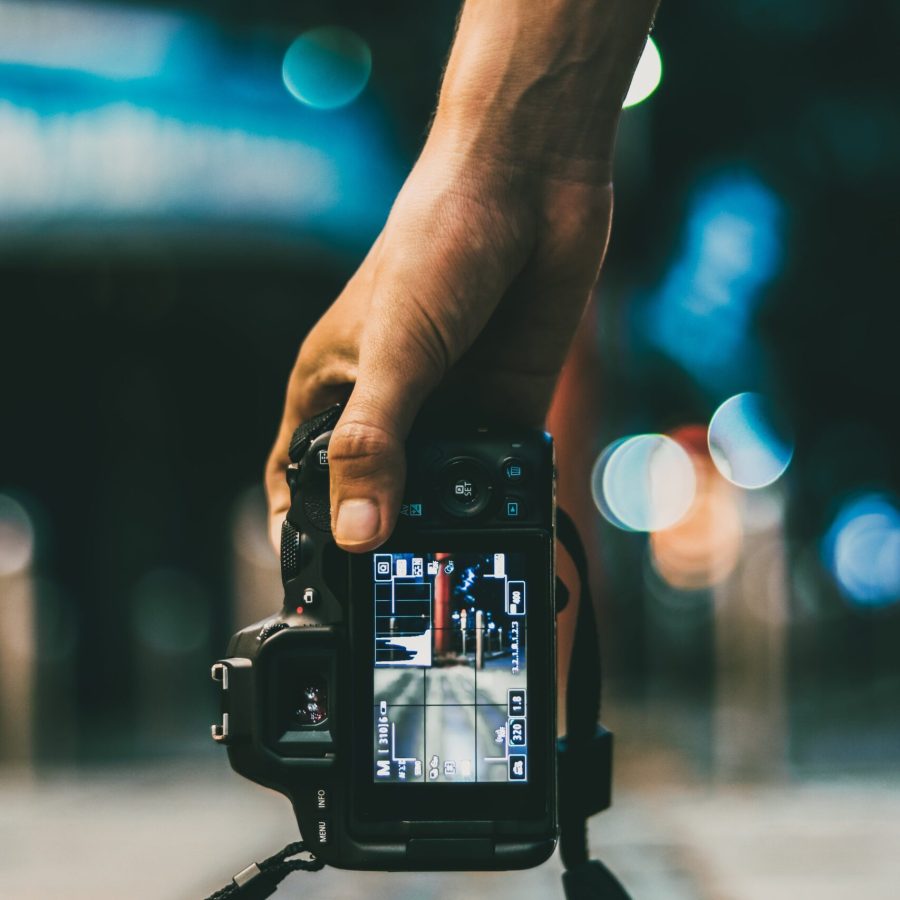 pexels-gautam-2931618